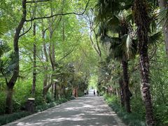 -同里国家湿地公园