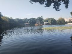 -荔湾湖公园
