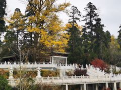 -径山寺