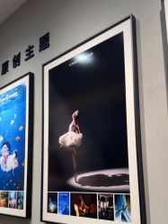 -大树儿童摄影