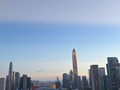 -莲花山公园