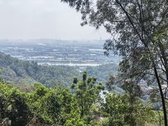 -滴水岩森林公园