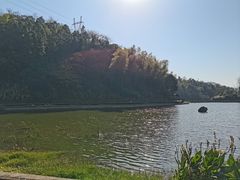 -梅岭月亮湾山体公园
