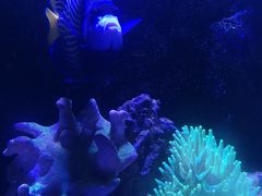 -太平洋海底世界