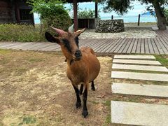 -三亚西岛海洋文化旅游区