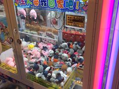 -PAWTOY爪e玩偶店(天兴罗斯福店)