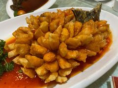 松鼠鱼尾-旭龙鱼头王(航华店)