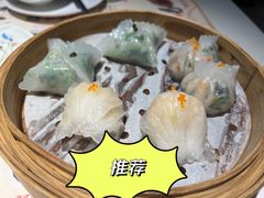 -粤点越有·茶点·粤菜(樵岭国际店)
