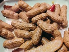 -柿子树炭烤羊腿(金台路店)