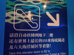 -上海海洋水族馆