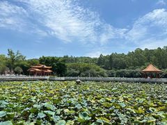 -南国桃园旅游度假区