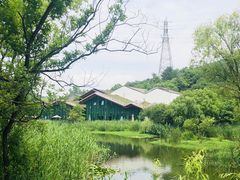 -西湖风景区-江洋畈生态公园