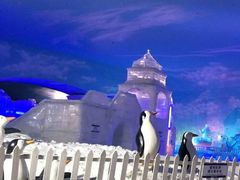 -世界之窗阿尔卑斯冰雪世界