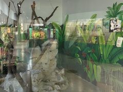 -上海大自然野生昆虫馆(东方明珠·爬宠昆虫探索中心)
