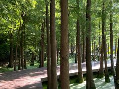 -云龙山