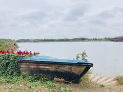 -上海都市菜园
