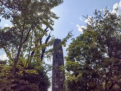 -上海佘山国家森林公园天马山园