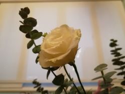 -陶然瑜伽馆