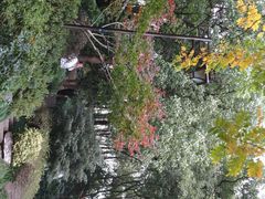 -杭州半山国家森林公园