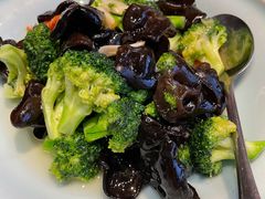 黑木耳炒西兰花-聚友斋(陶瓷琉璃馆水晶街店)