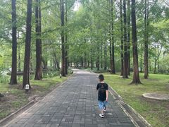 -银树楼(紫玉山庄东区店)