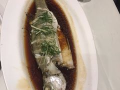 清蒸鲈鱼-大鸭梨烤鸭(左家庄店)
