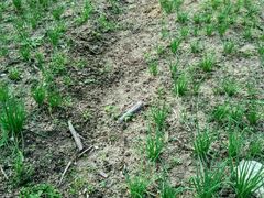 -邹记·美食(斗门店)