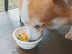 -西安浐灞艾美酒店·汉江餐厅·火锅