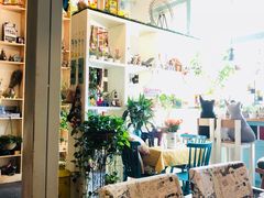 -Kitchen·Y洋厨房西餐厅(王府壹号店)
