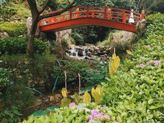 -鼓岭旅游度假区