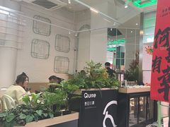 -靓蛙馆
