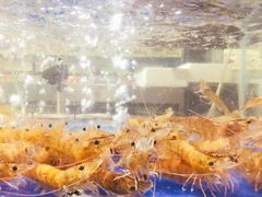-蚝得喜海鲜(东城店)