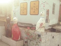 -猫咪博物馆(顶澳仔猫街店)