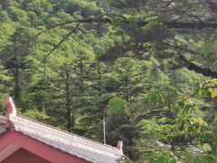 -峨眉山风景名胜区
