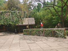 -云南民族村