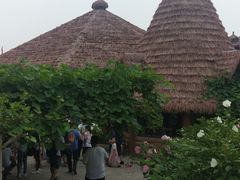 -白洋淀景区