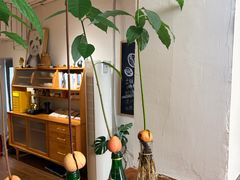 -沏点Trattoria意大利餐厅(新街口店)