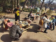 -鸡鸣汤包(红山动物园店)