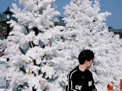 -盈香心动乐园