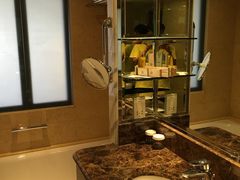 -新加坡乌节希尔顿酒店 (SG Clean)