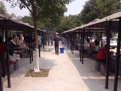 iphone_upload_pic-我家农庄