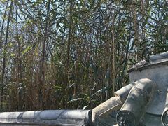 -青岛崂山太清宫