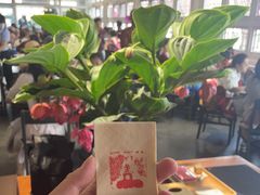 -故宫餐厅(景运门店)