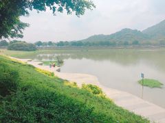 -风云岭森林公园