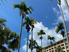 -三亚亚龙湾天域度假酒店