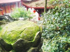 -都江堰普照寺