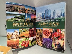 -新疆兵团食府清真(马连道店)
