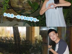 -白虎自助餐厅·真老虎·景观自助餐厅(广州长隆酒店)