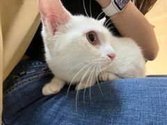 -拜鲁耶动物诊疗中心·宠家动物医院