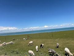 -青海湖国家重点风景名胜区